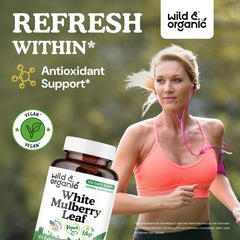 Close-up of mulberry leaf extract capsule (500 mg)