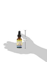 Dropper bottle of unscented willow garlic ear oil for children