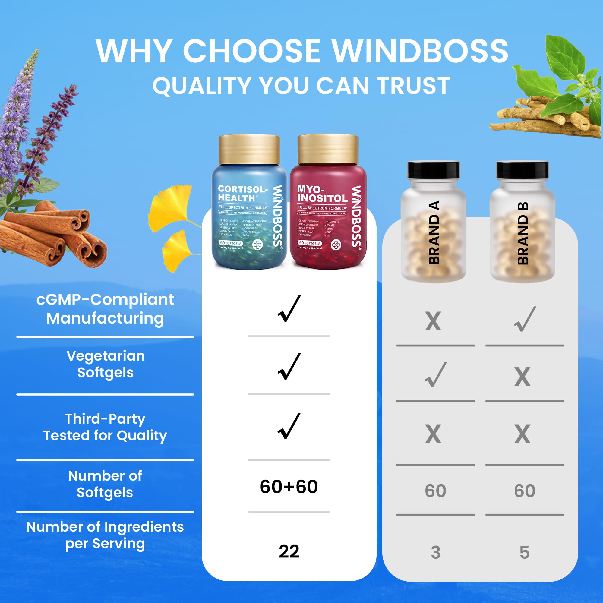 WindBoss ingredients flatlay with botanicals illustrating natural support