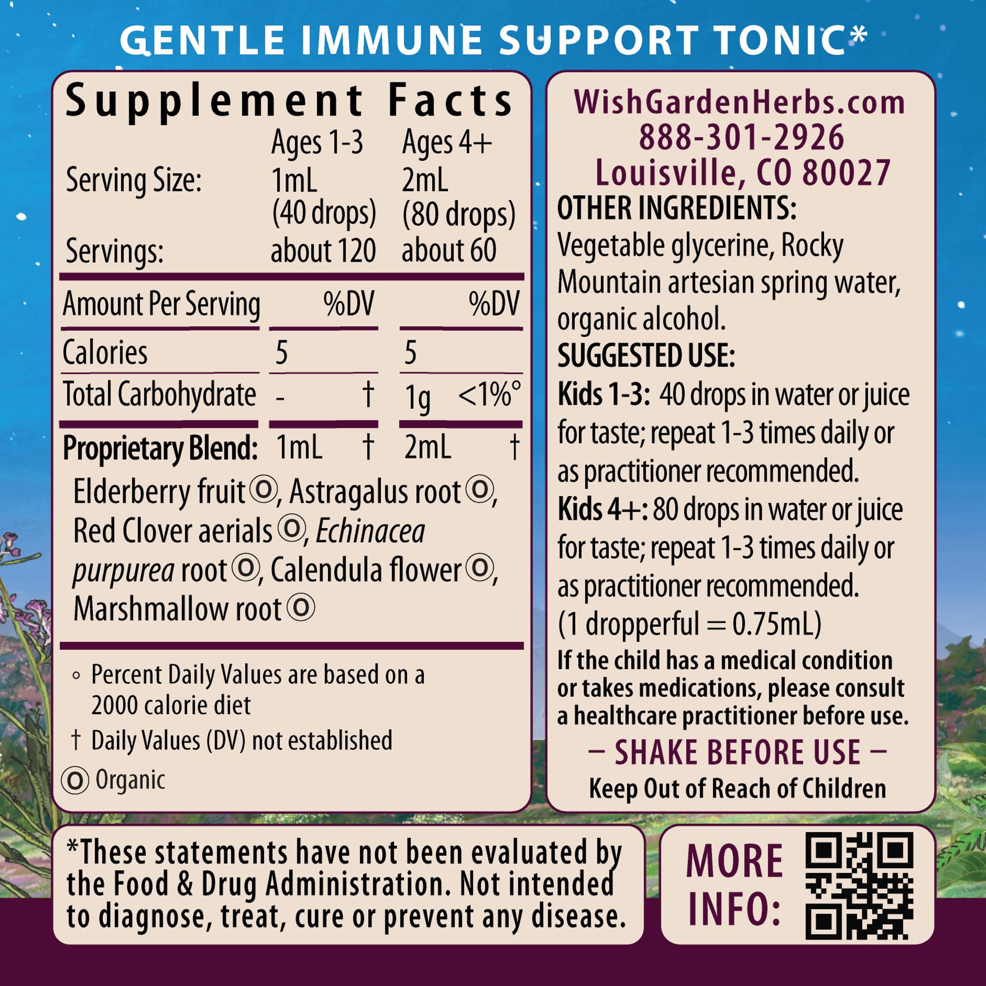 Illustration of Black Elderberry and Echinacea ingredients