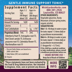 Illustration of Black Elderberry and Echinacea ingredients