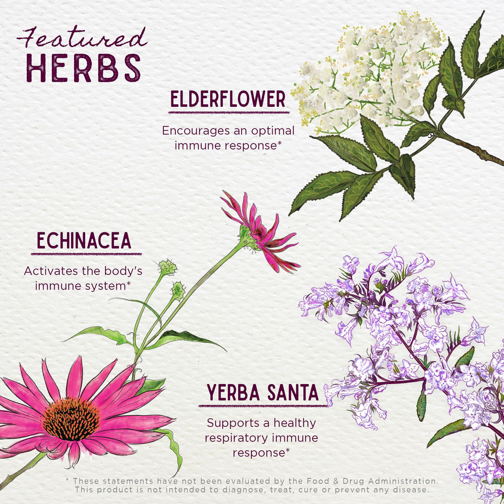 Ingredients including Echinacea, Goldenseal and Yerba Santa