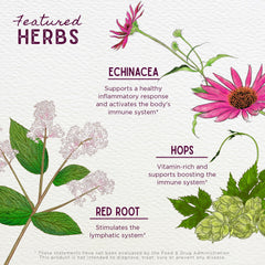 Recommended usage and dosage for Kick-Ass Biotic Immune Hero