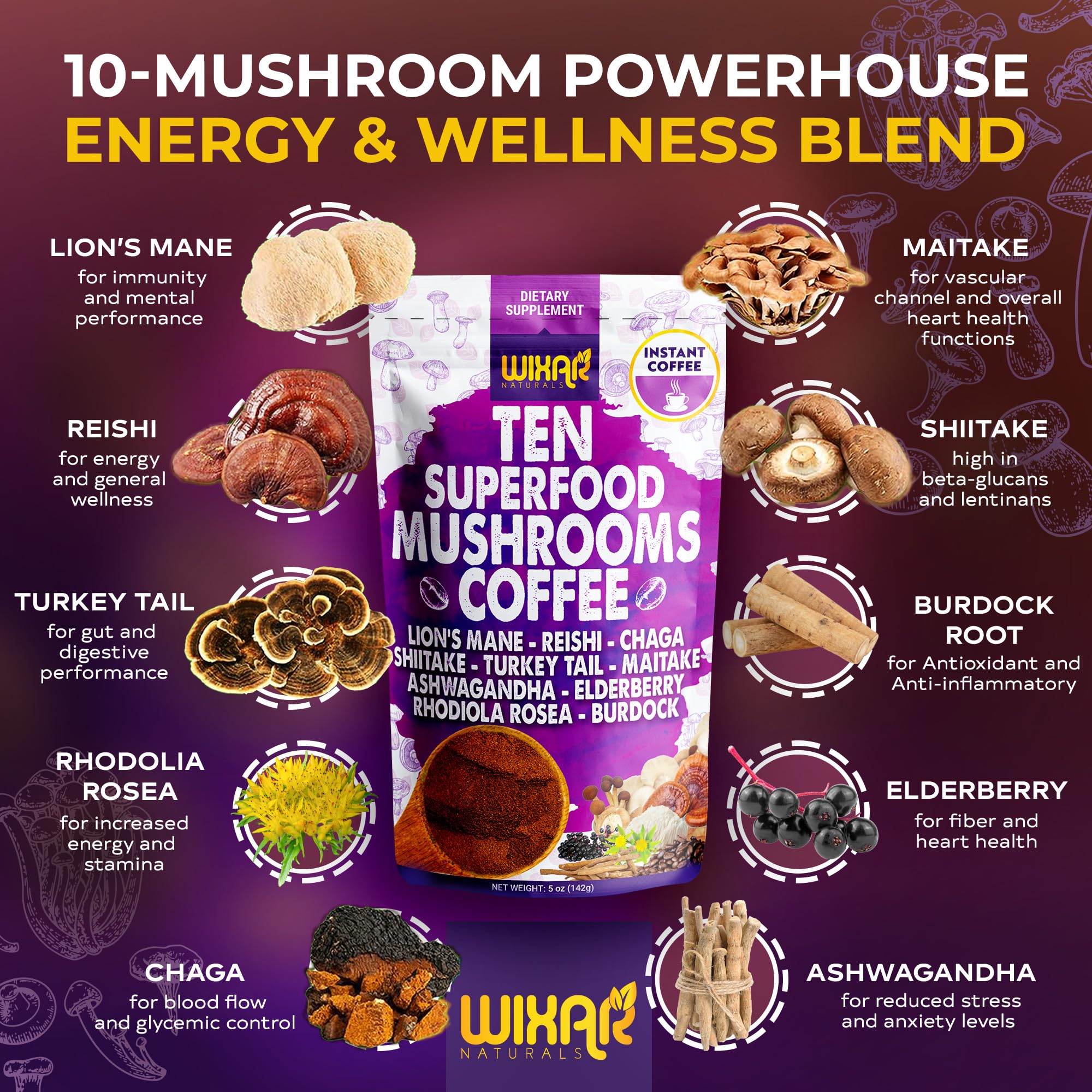 Close-up of mushroom blend ingredients showing Lion's Mane, Reishi, Chaga, Shiitake, Turkey Tail