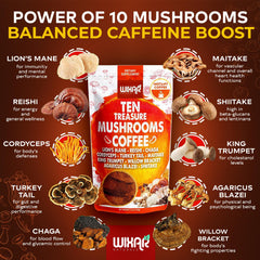 Ten mushrooms included in the blend: Lion's Mane, Reishi, Chaga, Cordyceps, Shiitake, Turkey Tail, Maitake, King Trumpet, Willow Bracket, Agaricus Blazei
