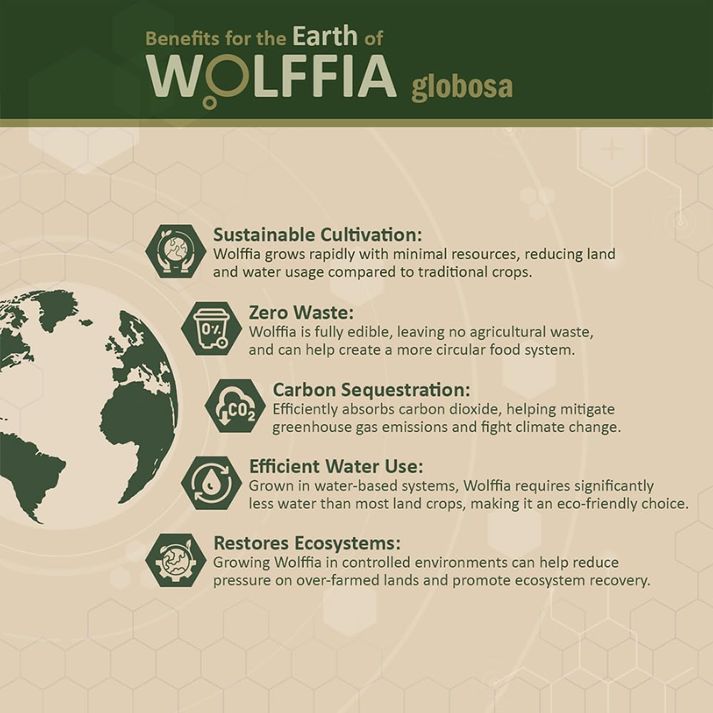 Nutrition benefits icons for Wolffia globosa (protein, minerals, vitamins)