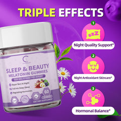 Close-up illustration of key ingredients ashwagandha and L-theanine