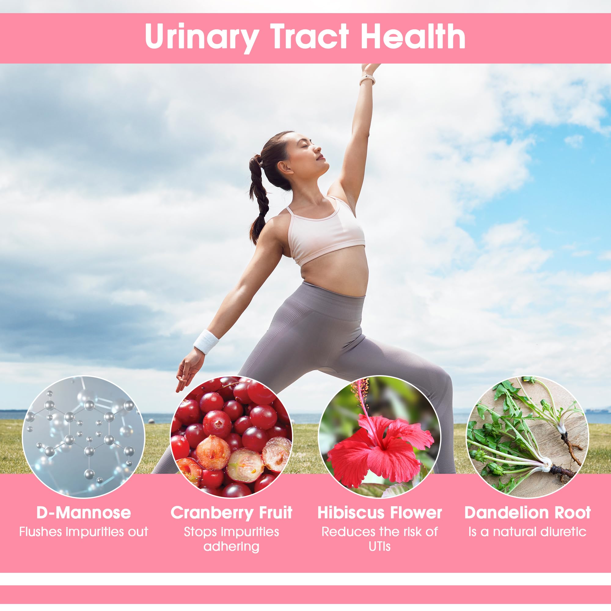 Overview of women's health probiotic complex ingredients.