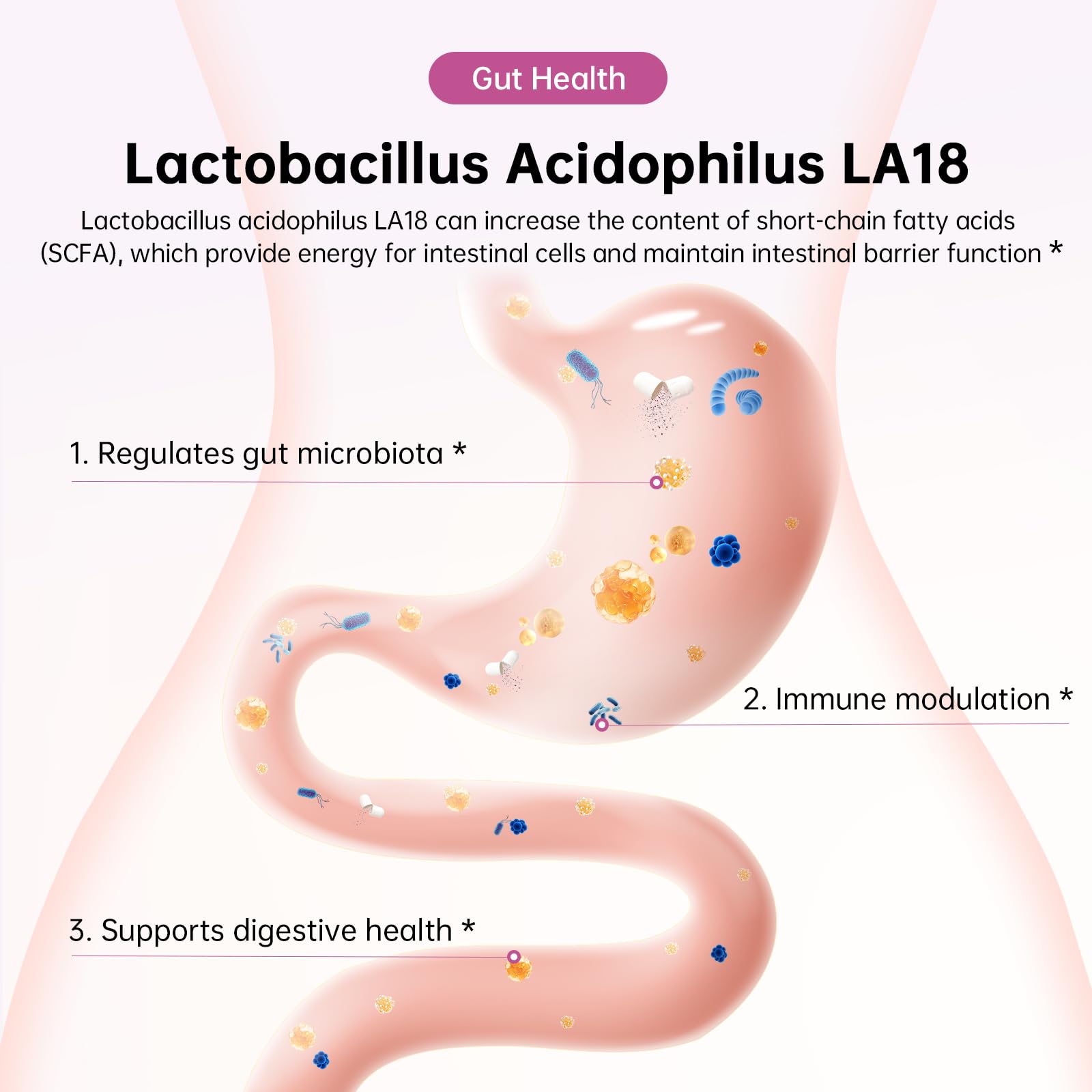 Ashwagandha and cranberry ingredients for female health