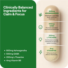 GABA, L-Theanine capsules with B6 supplement label