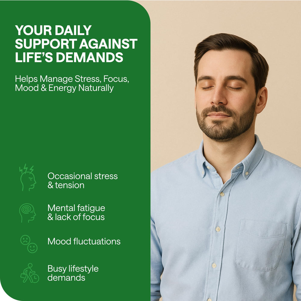 Calm and focused lifestyle concept with serene backdrop