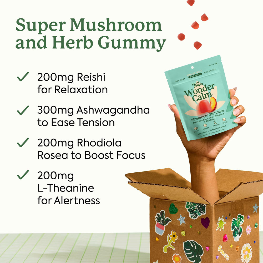 Illustration of Ashwagandha and Reishi blend used in WonderCalm