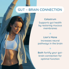 Arrangement of coconut milk powder and MCTs ingredients