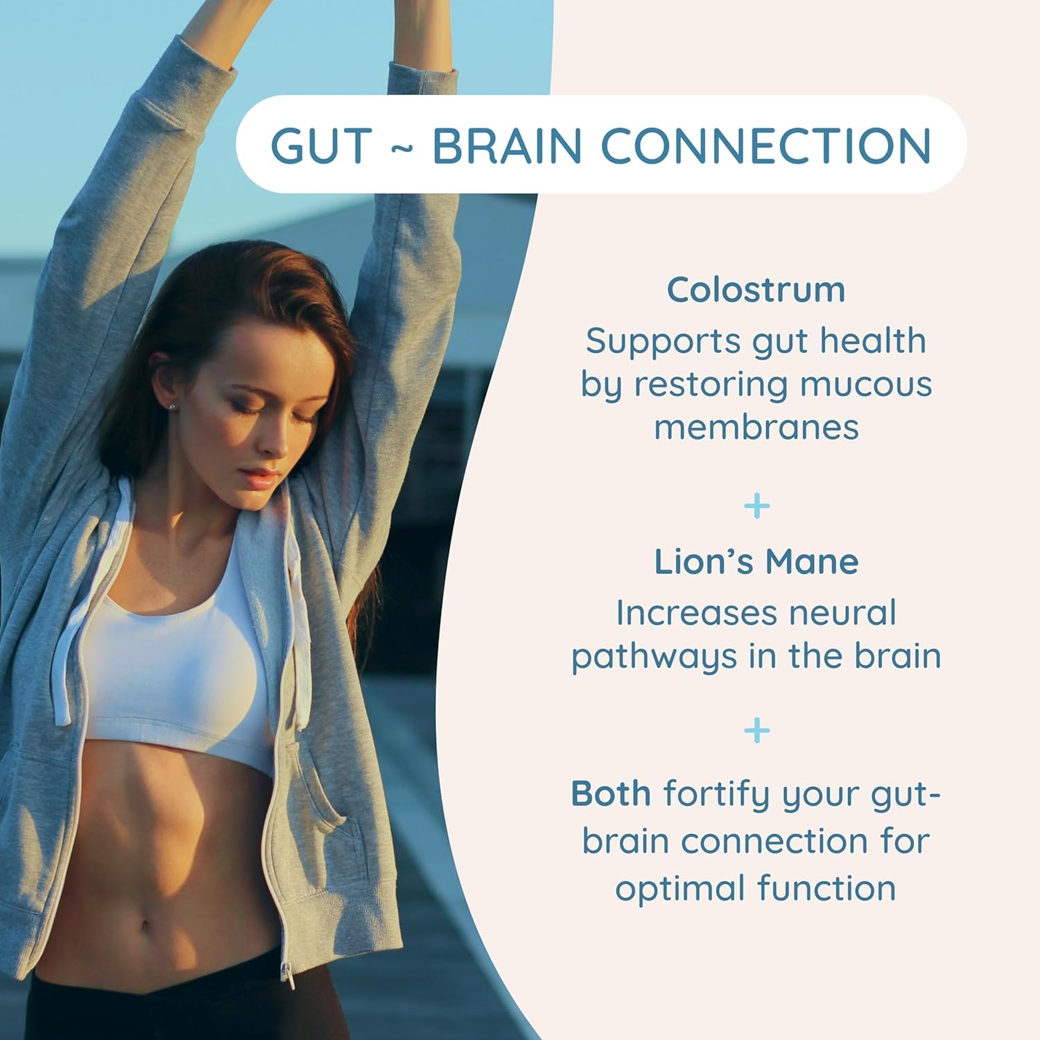 GMP-certified production facility for WonderCow Creamer