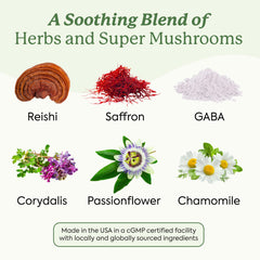 GABA, Chamomile and Passionflower ingredients in WonderSleep Gummies Mini