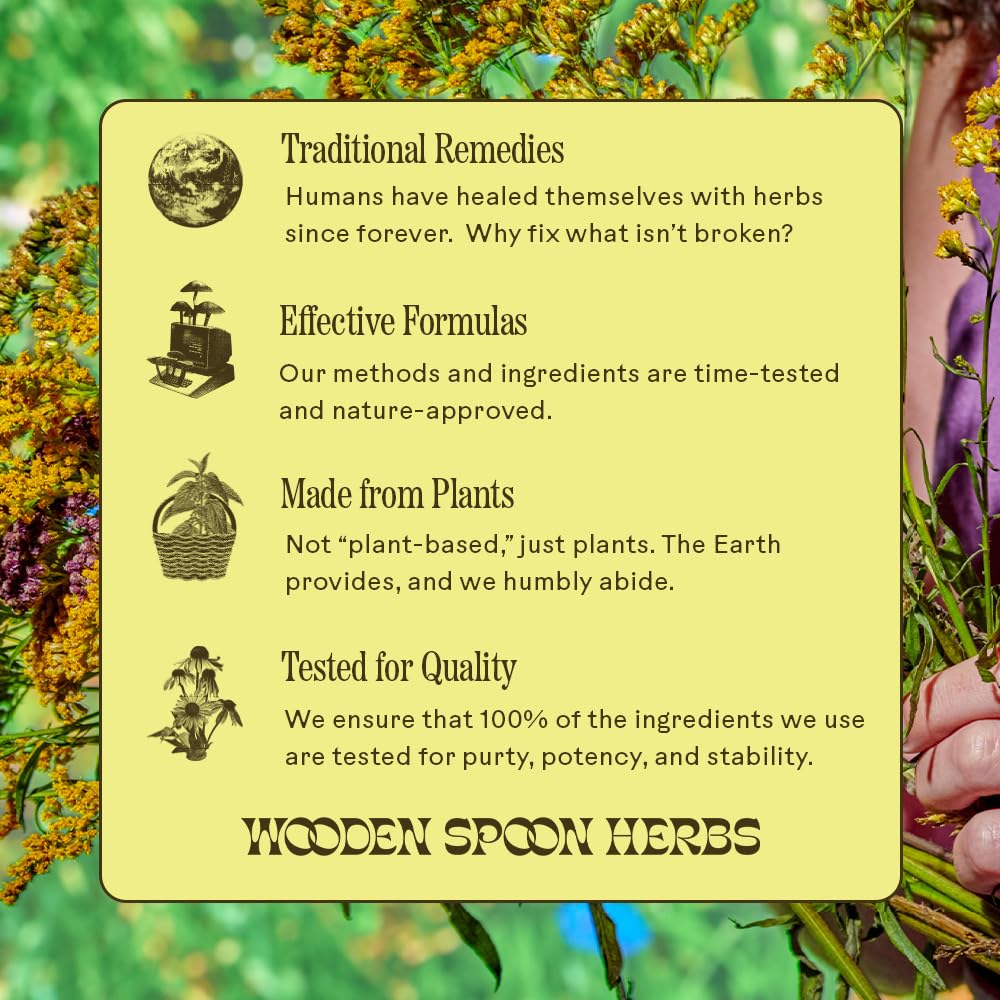 Calm lifestyle scene with tranquil herbal tincture