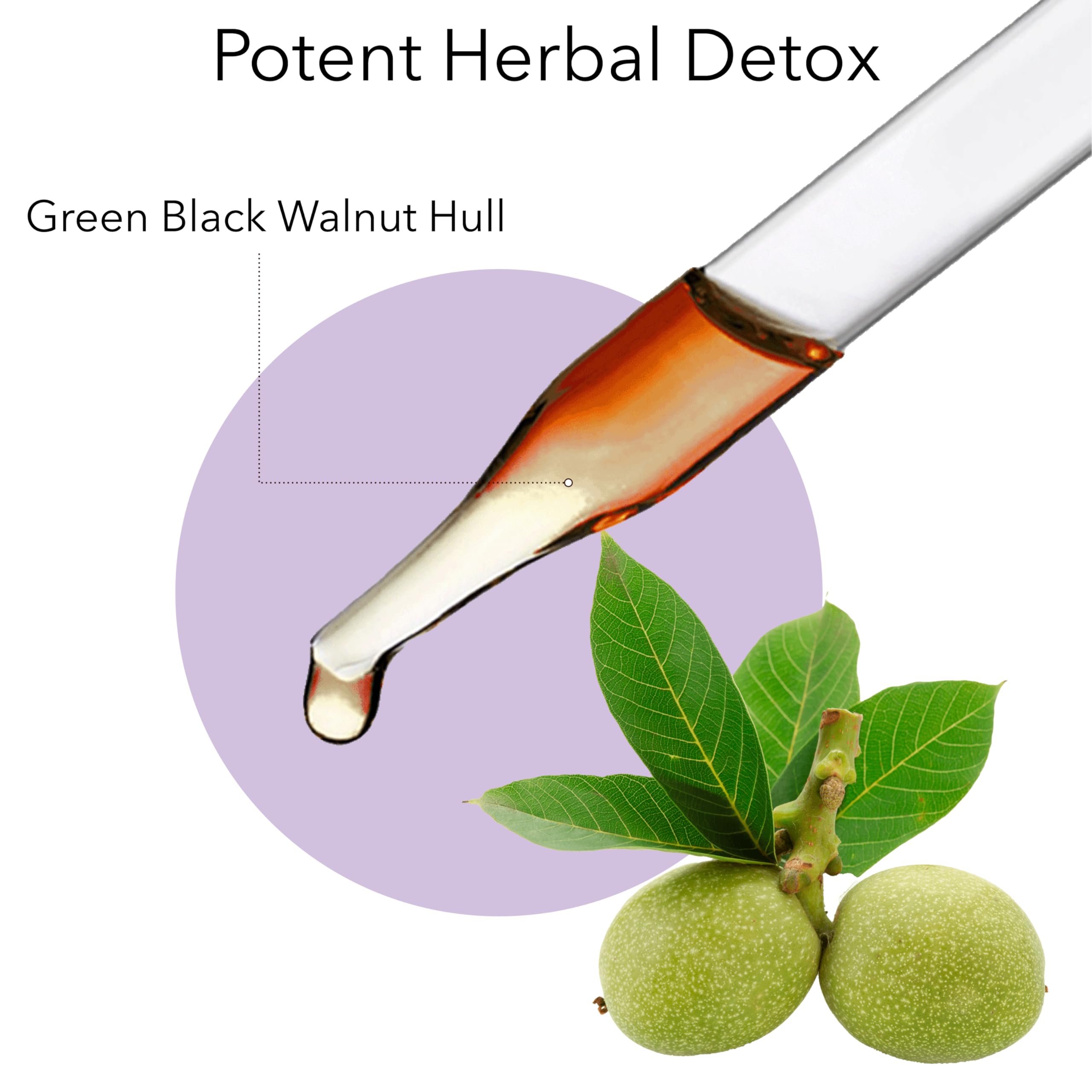 Natural herb imagery accompanying the detox kit