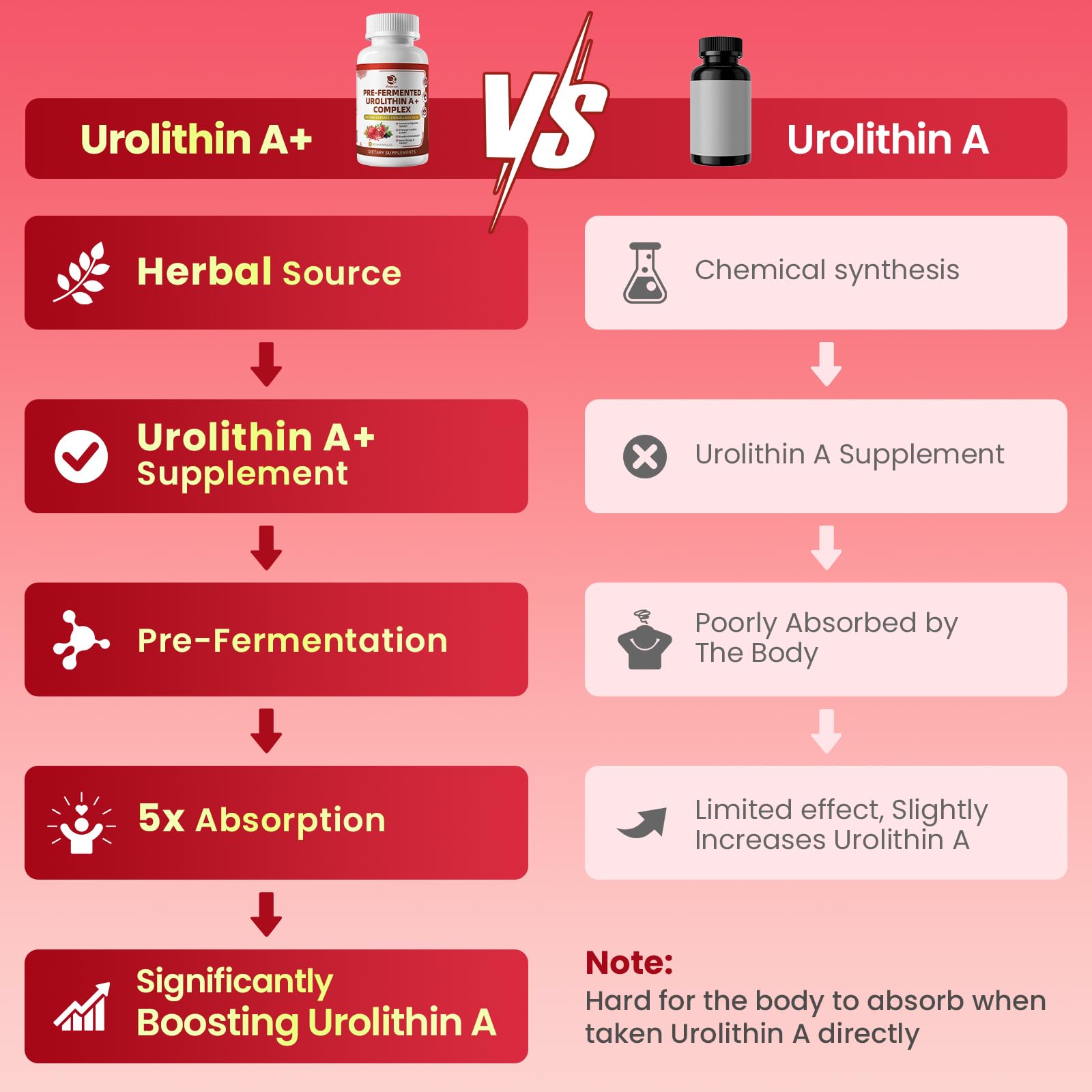 Wormwood, Psyllium Husk and DGL for digestive support