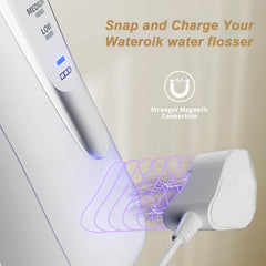 Charger connectors and DC output on WUKUR WP-560 charger