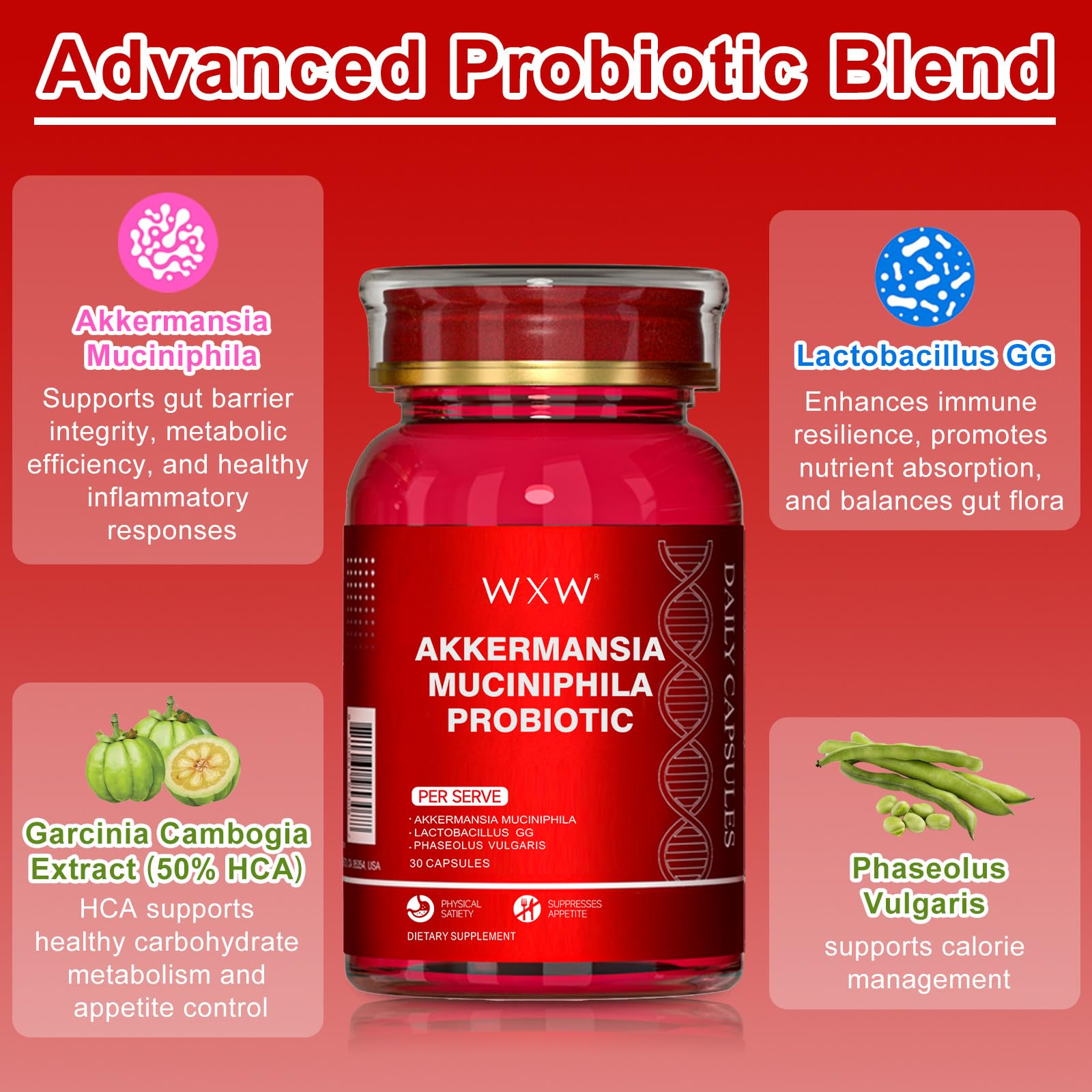Garcinia Cambogia graphics near probiotic