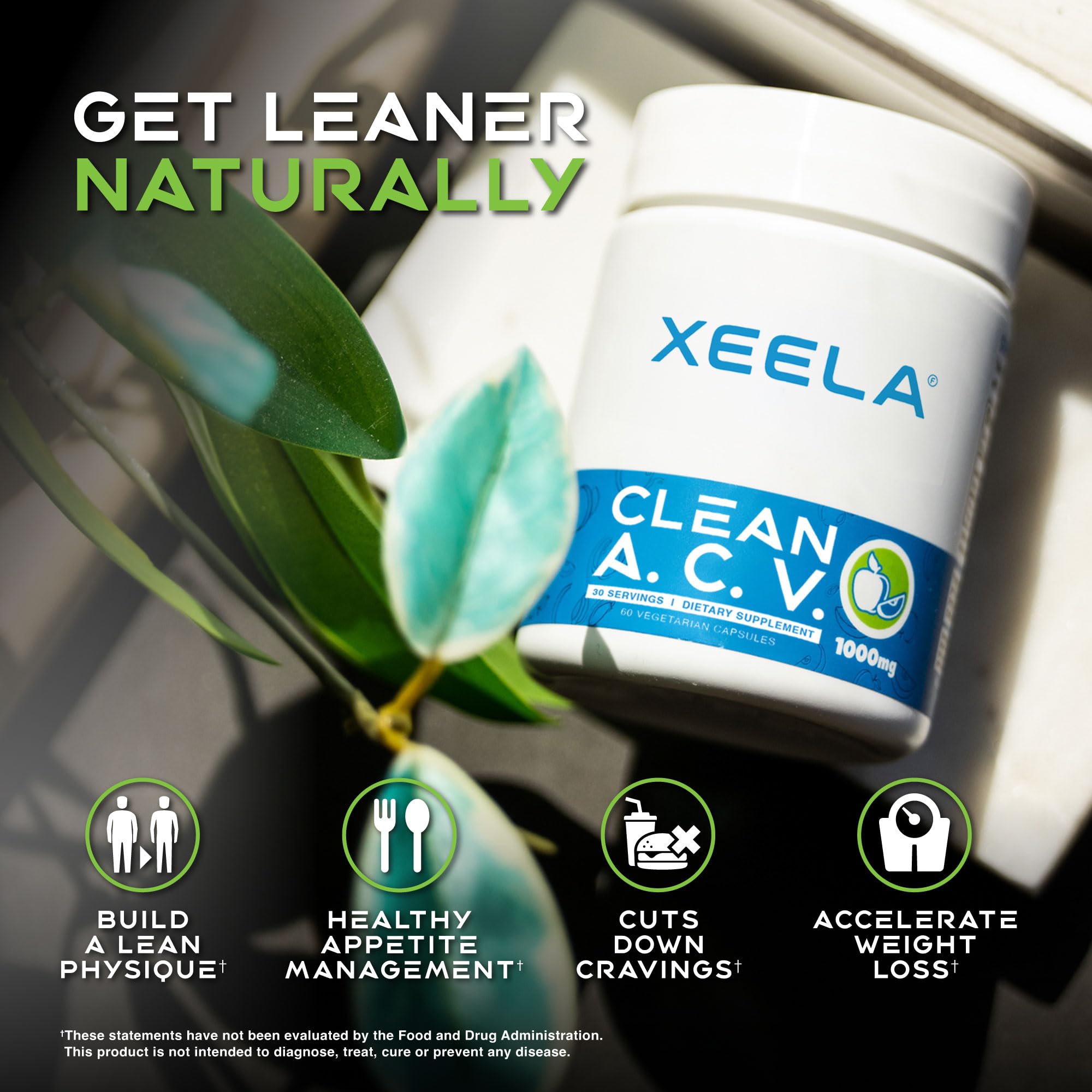 XEELA bottle in hand for scale to show compact travel-friendly size and portability