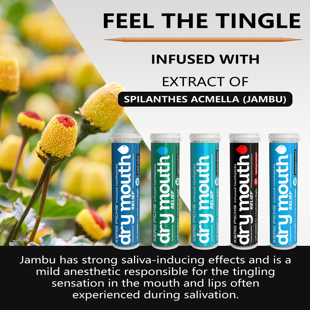 Pocket-sized dry mouth relief tooth picks in a pack