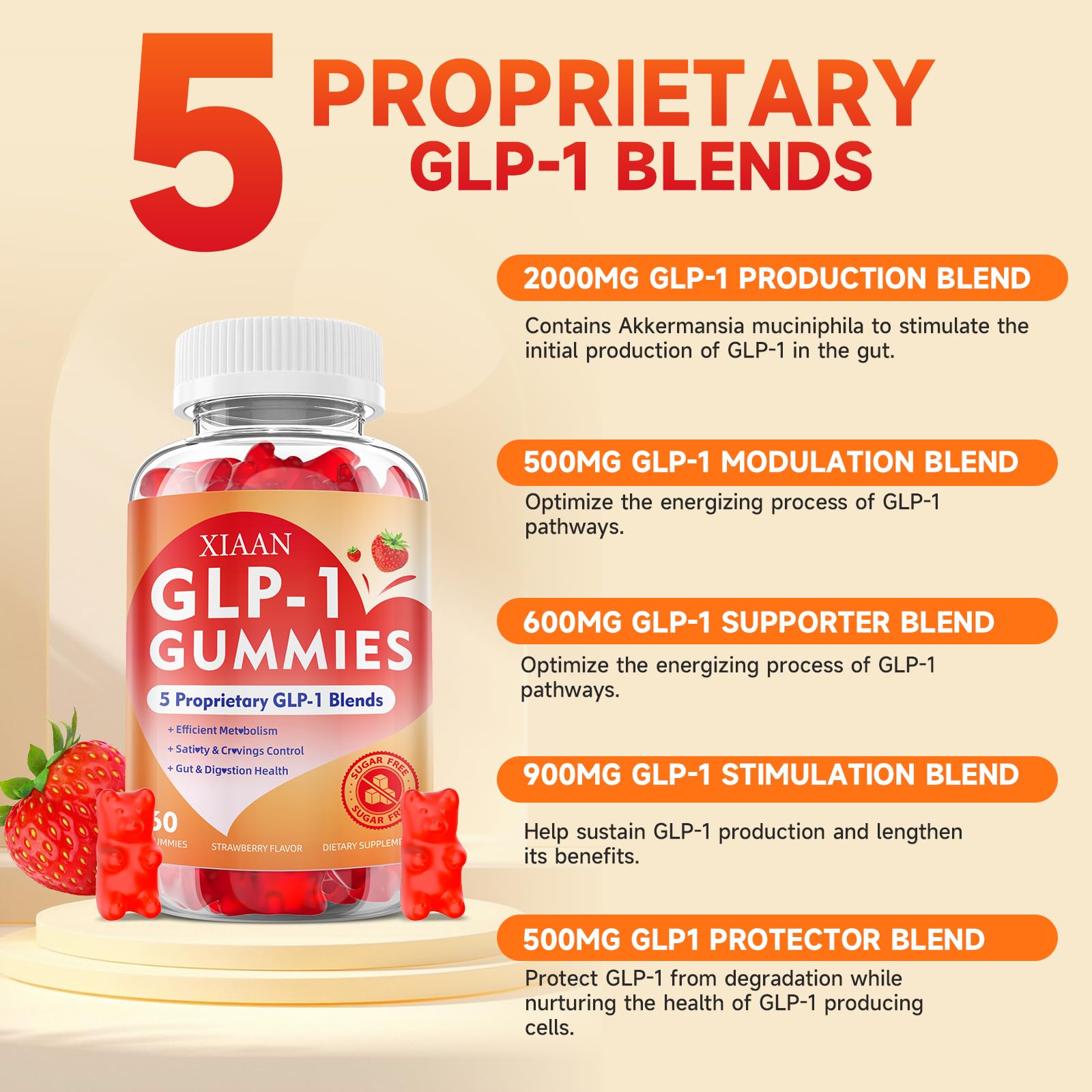 Berberine and Akkermansia probiotic concept illustration