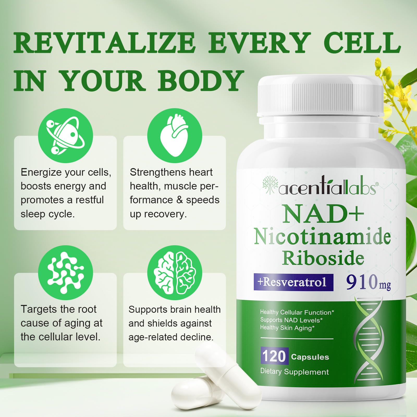 Ingredient panel showing nicotinamide riboside, resveratrol and quercetin