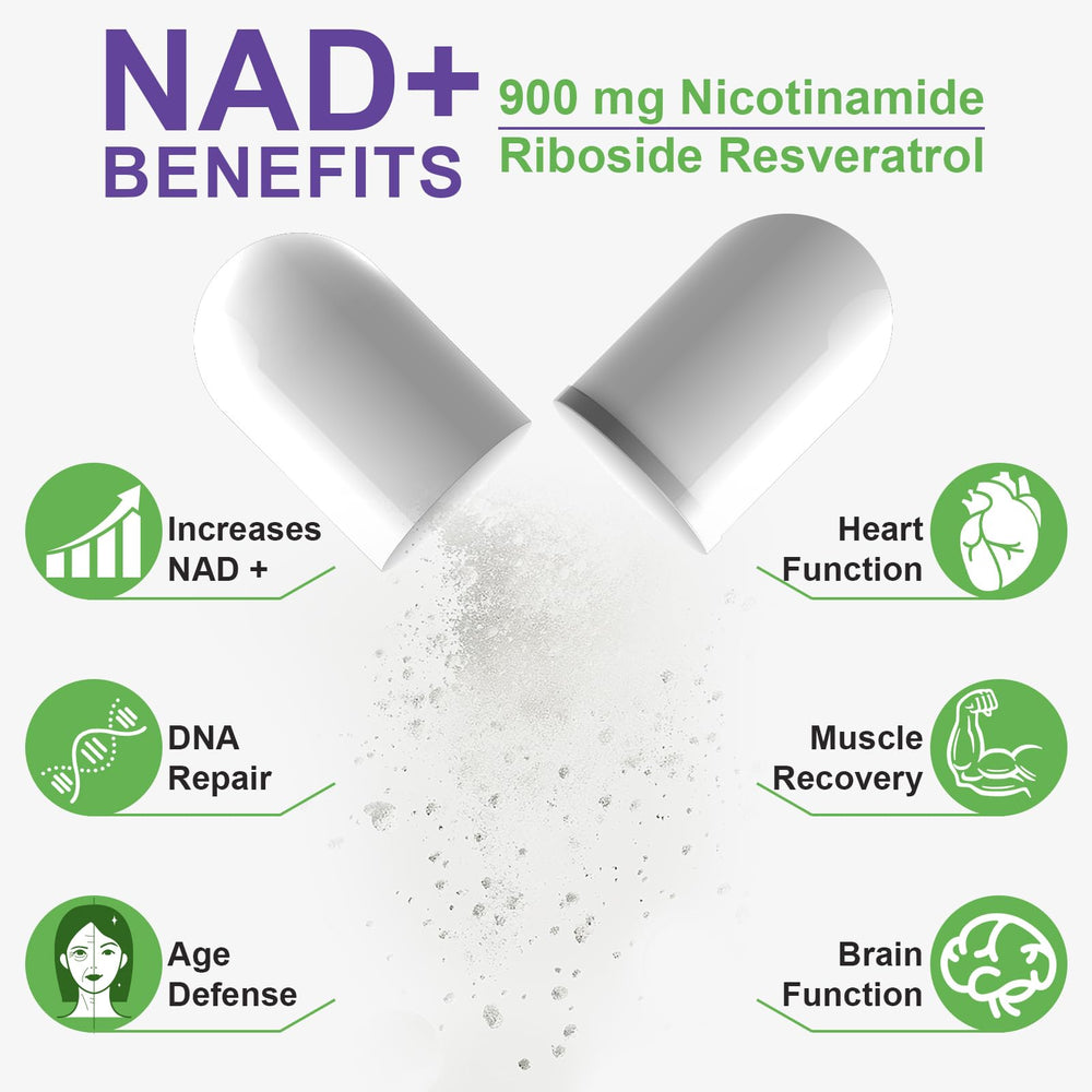 Graphic illustrating liposomal delivery for enhanced NAD+ absorption