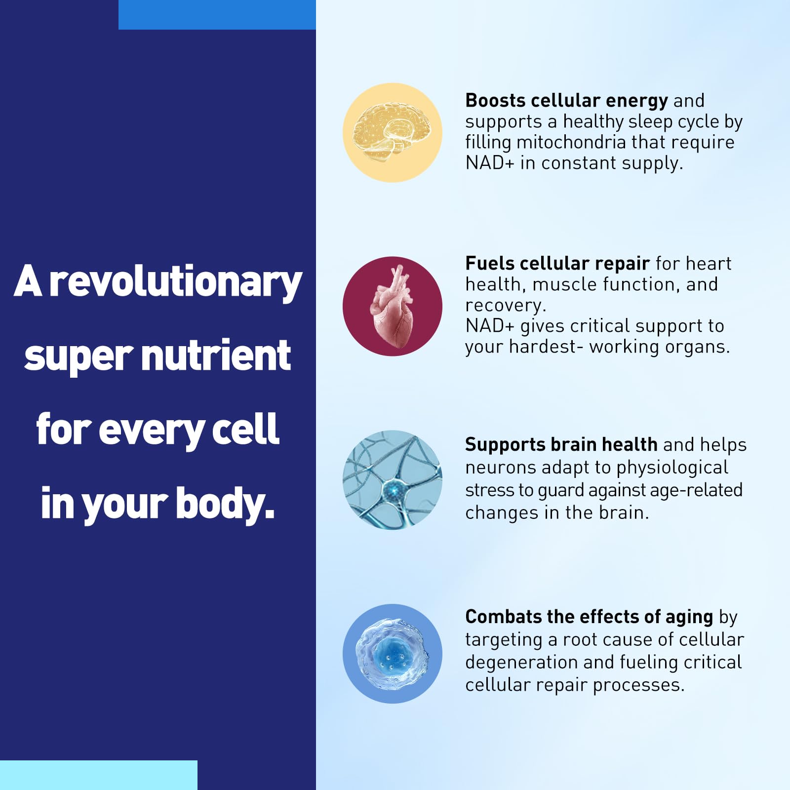 Capsules and a glass of water representing daily NAD+ dose
