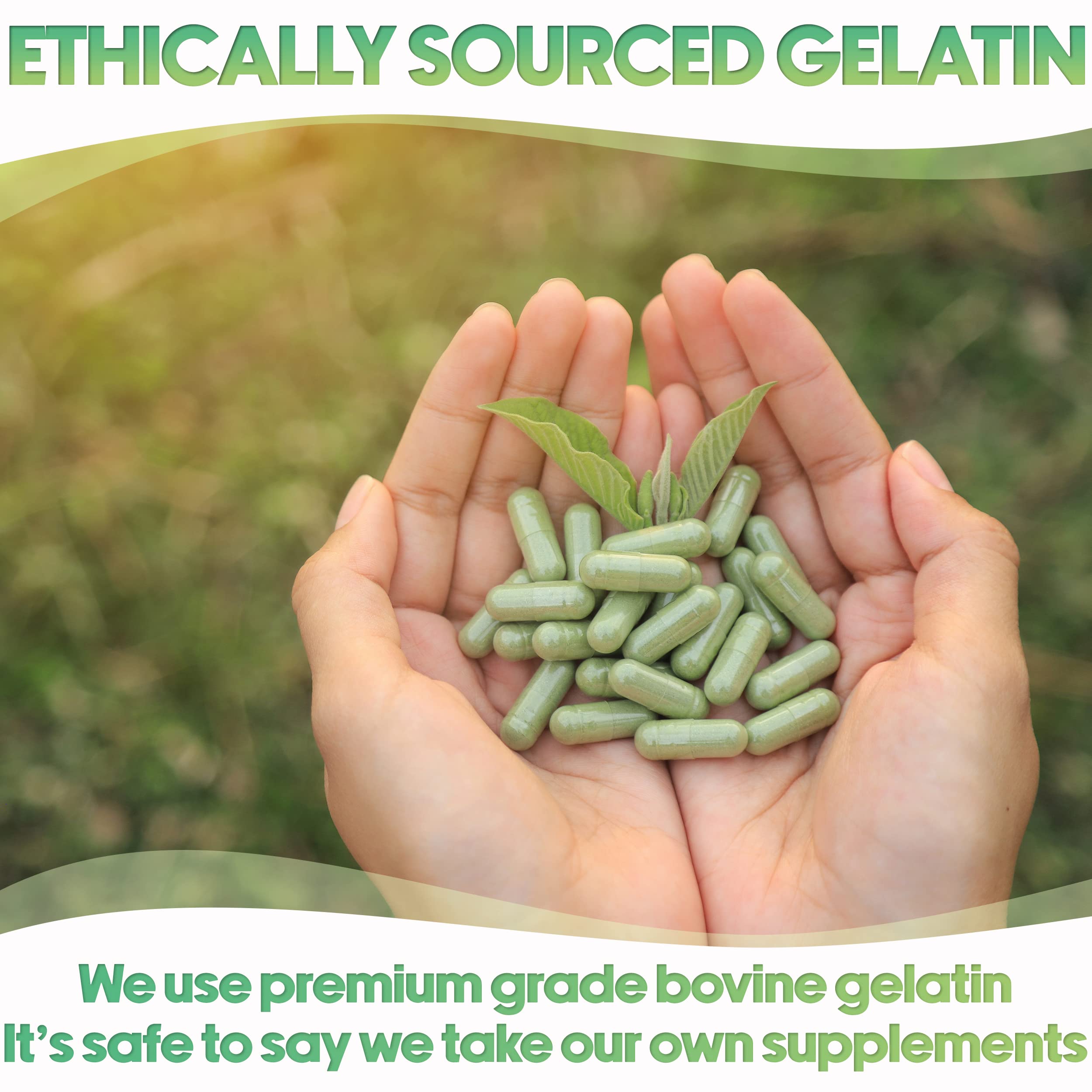 100% bovine gelatin empty capsules, Kosher certified