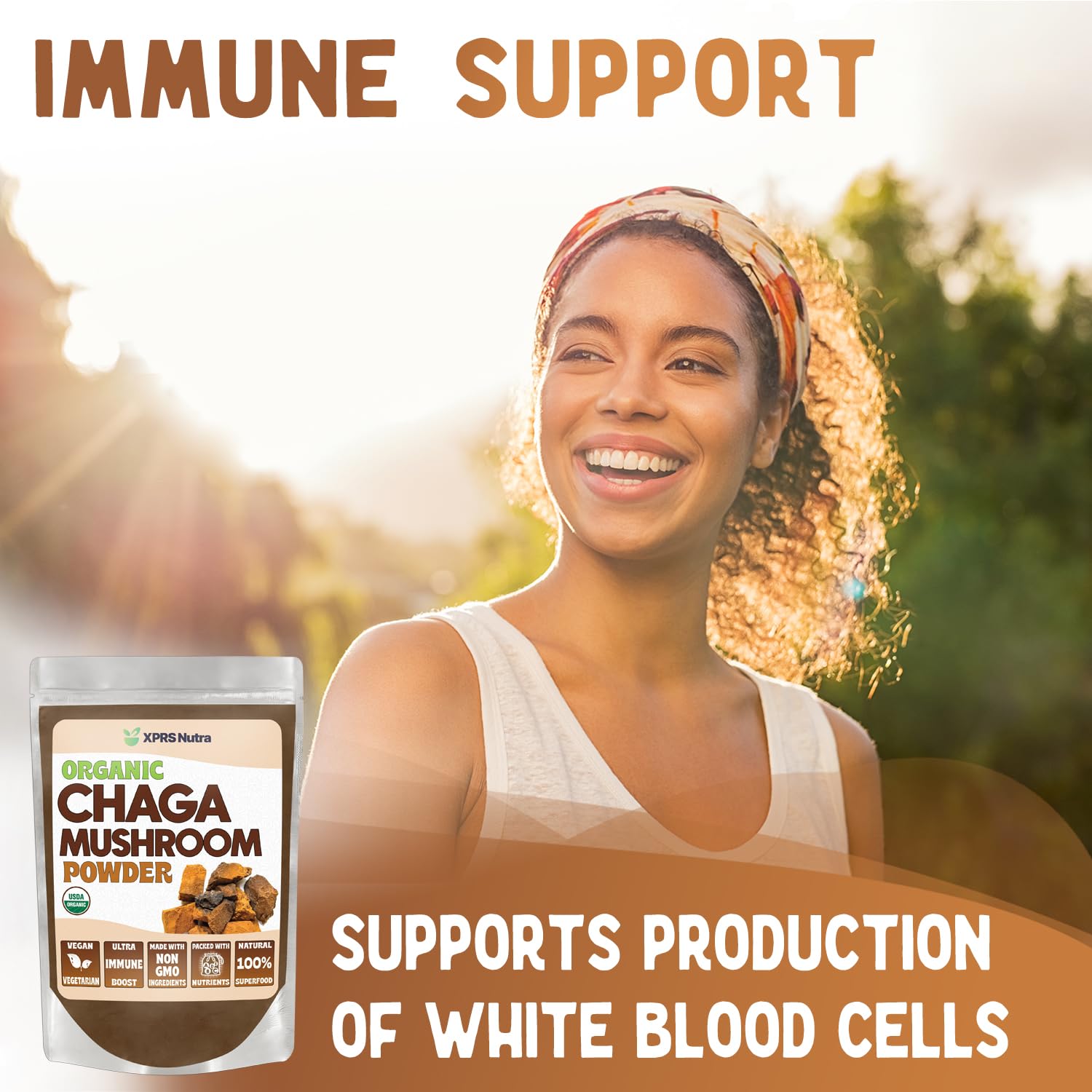 Close-up of Organic Chaga Mushroom Powder texture