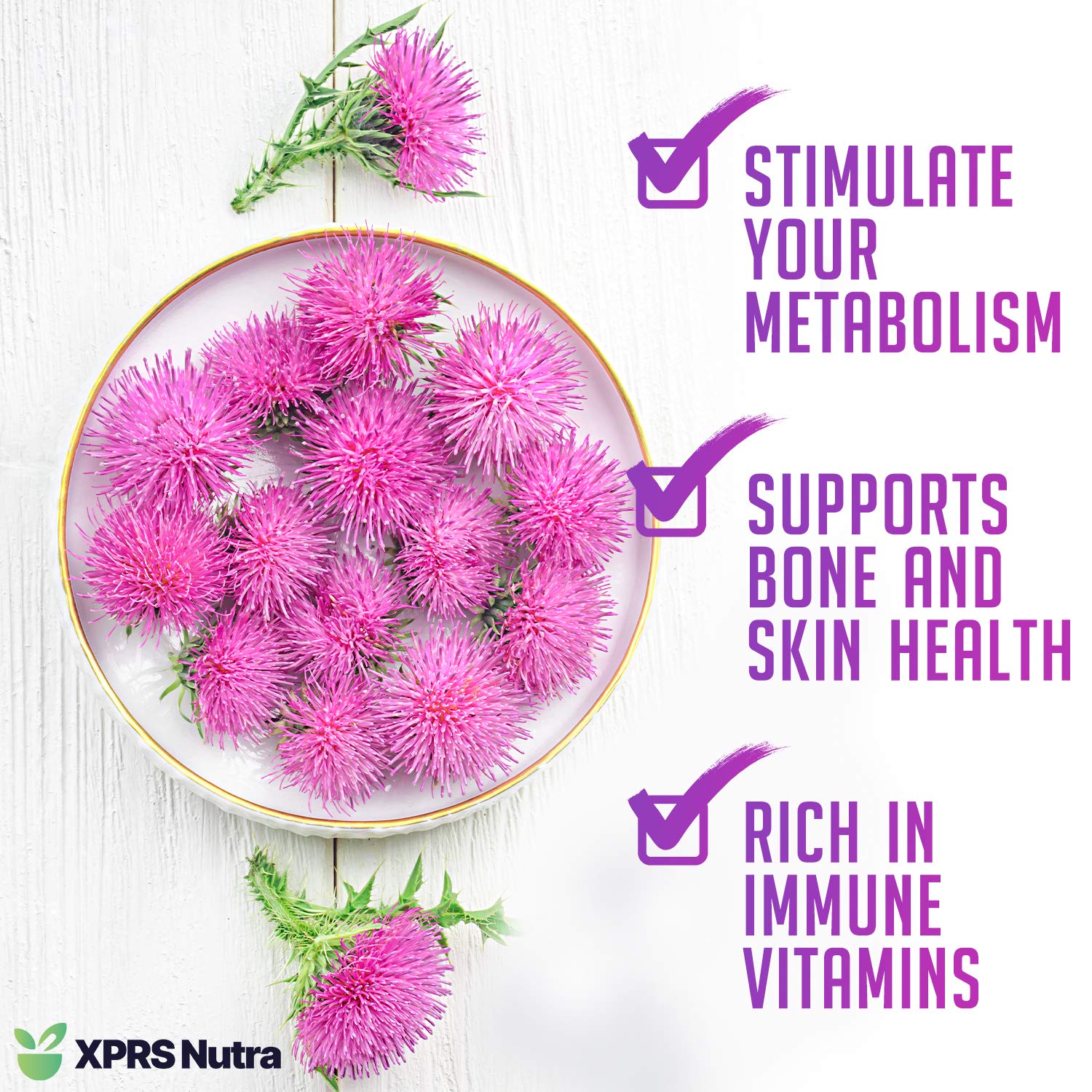 Back packaging of XPRS Nutra Organic Milk Thistle Seed Powder 16 oz