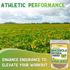 Rhodiola Rosea powder packaging and scoop