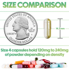 Close-up of clear size 4 empty capsules showing rounded ends