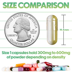 Separated empty capsules size 1 for DIY filling, 1000 count