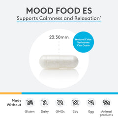 Mood Food ES ingredients: B vitamins, 5-HTP, GABA illustration