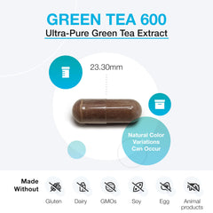 Close-up of XYMOGEN Green Tea 600 capsules