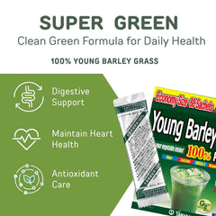 Prepared glass smoothie with barley grass powder