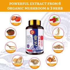 Assorted mushroom extracts included: Chaga, Cordyceps, Lion's Mane, Maitake and Agaricus