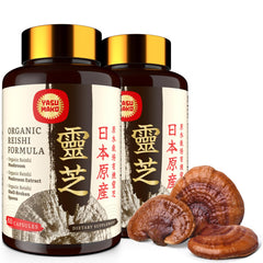 Yasumako Reishi 800mg capsules featuring log-grown Japanese mushroom extract and shell-broken spores - image 1