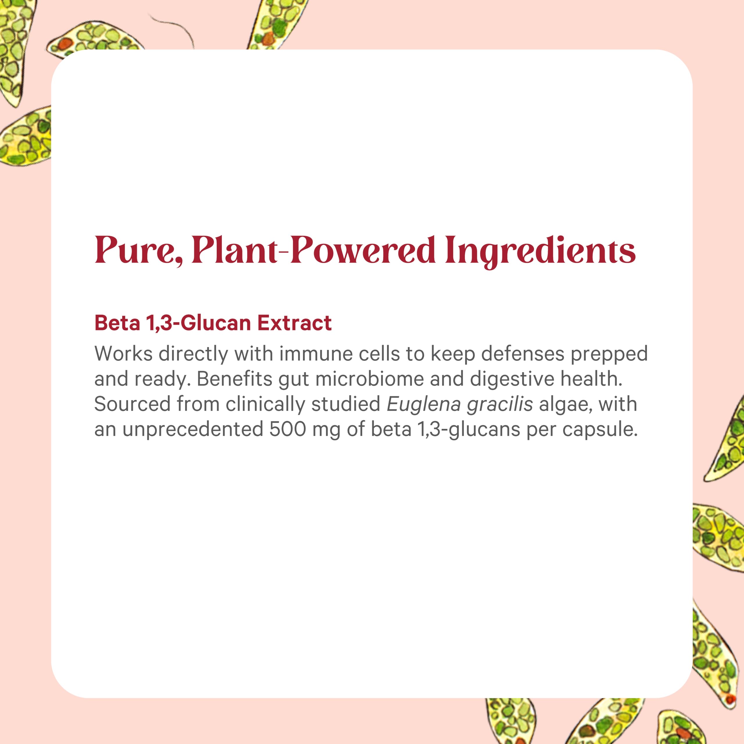 Label highlights yeast-free, non-GMO, vegan, gluten-free ingredients