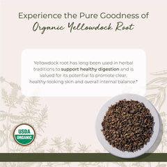 Cut and sifted Yellowdock Root for tea