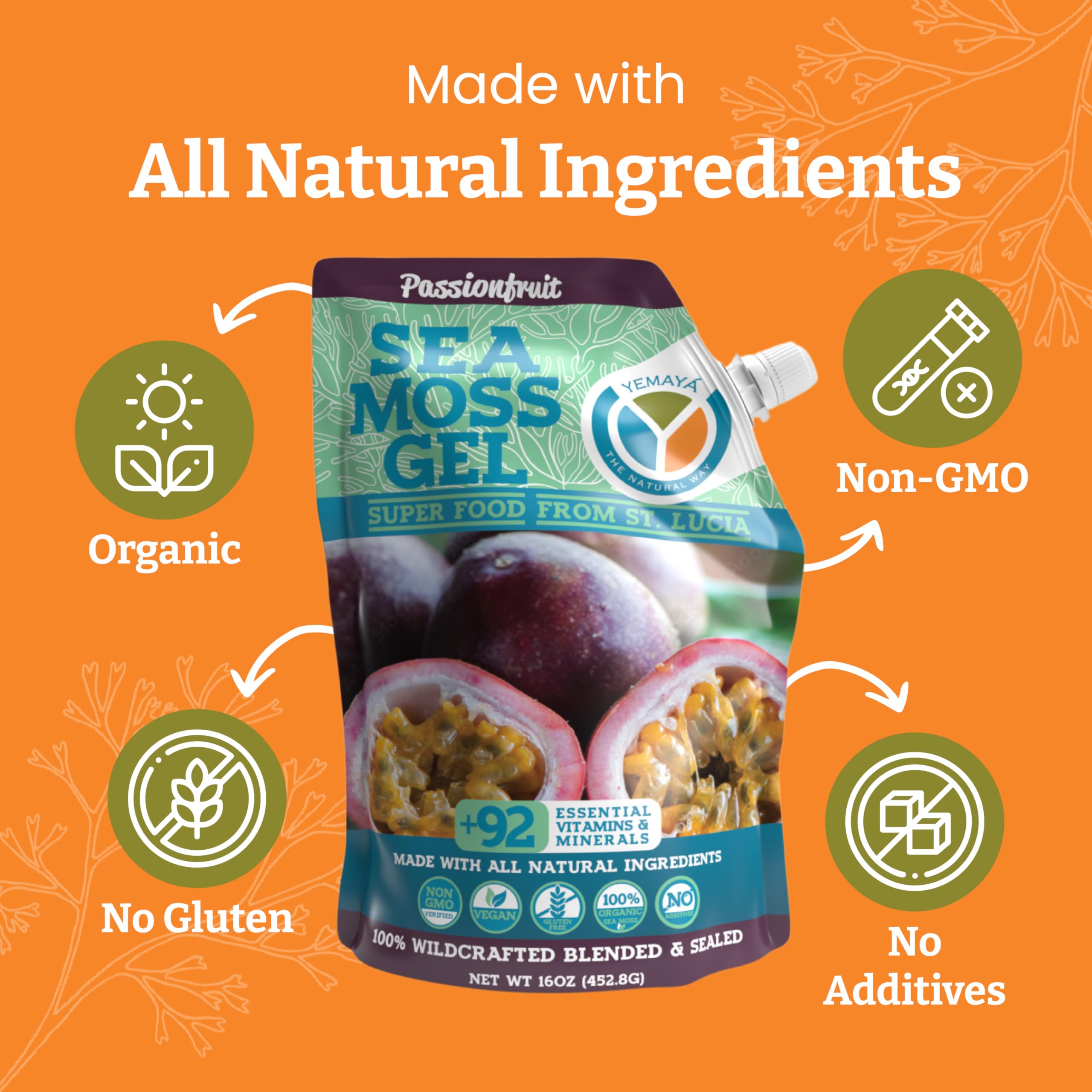 Wildcrafted sea moss harvested in protected waters (St Lucia)
