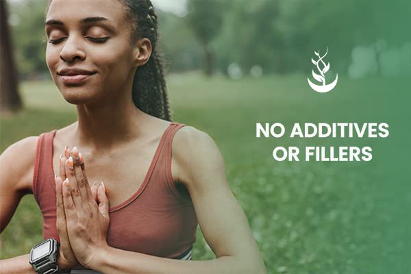 Back view of Yerba Mate capsules bottle with supplement facts