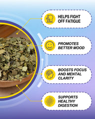 Focus and clarity with Yerba Mate Capsules