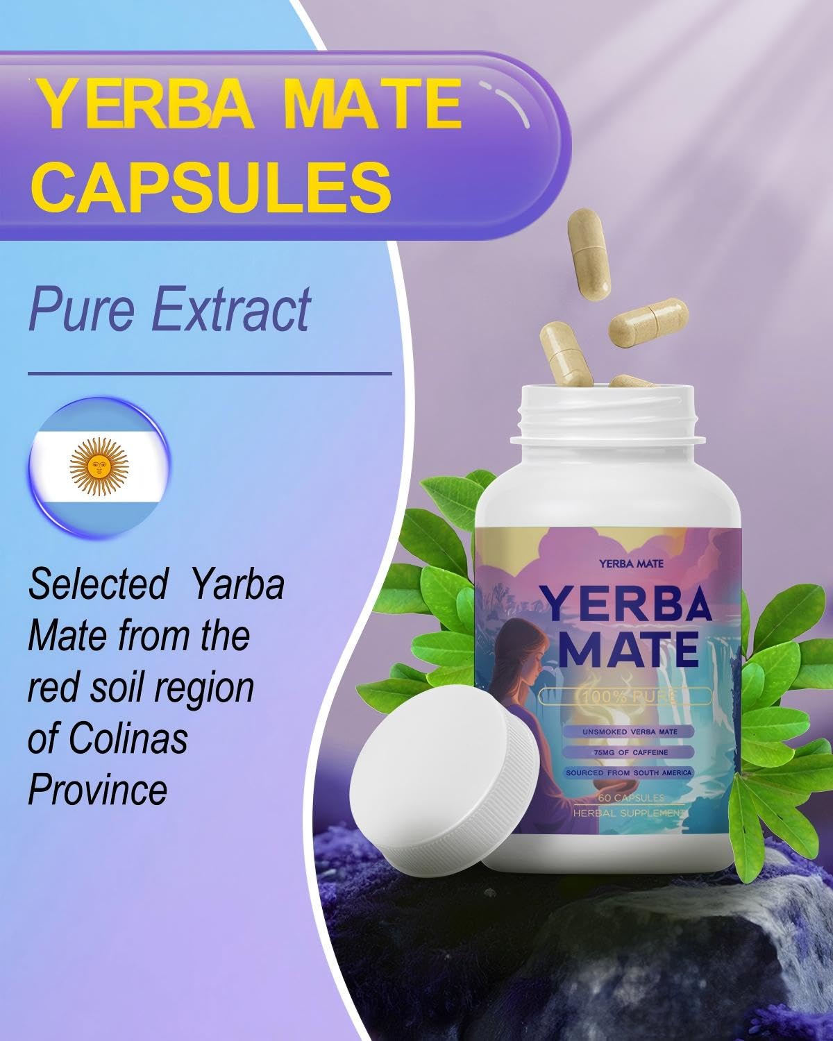 Premium ingredients list for Yerba Mate Capsules