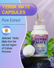 Premium ingredients list for Yerba Mate Capsules