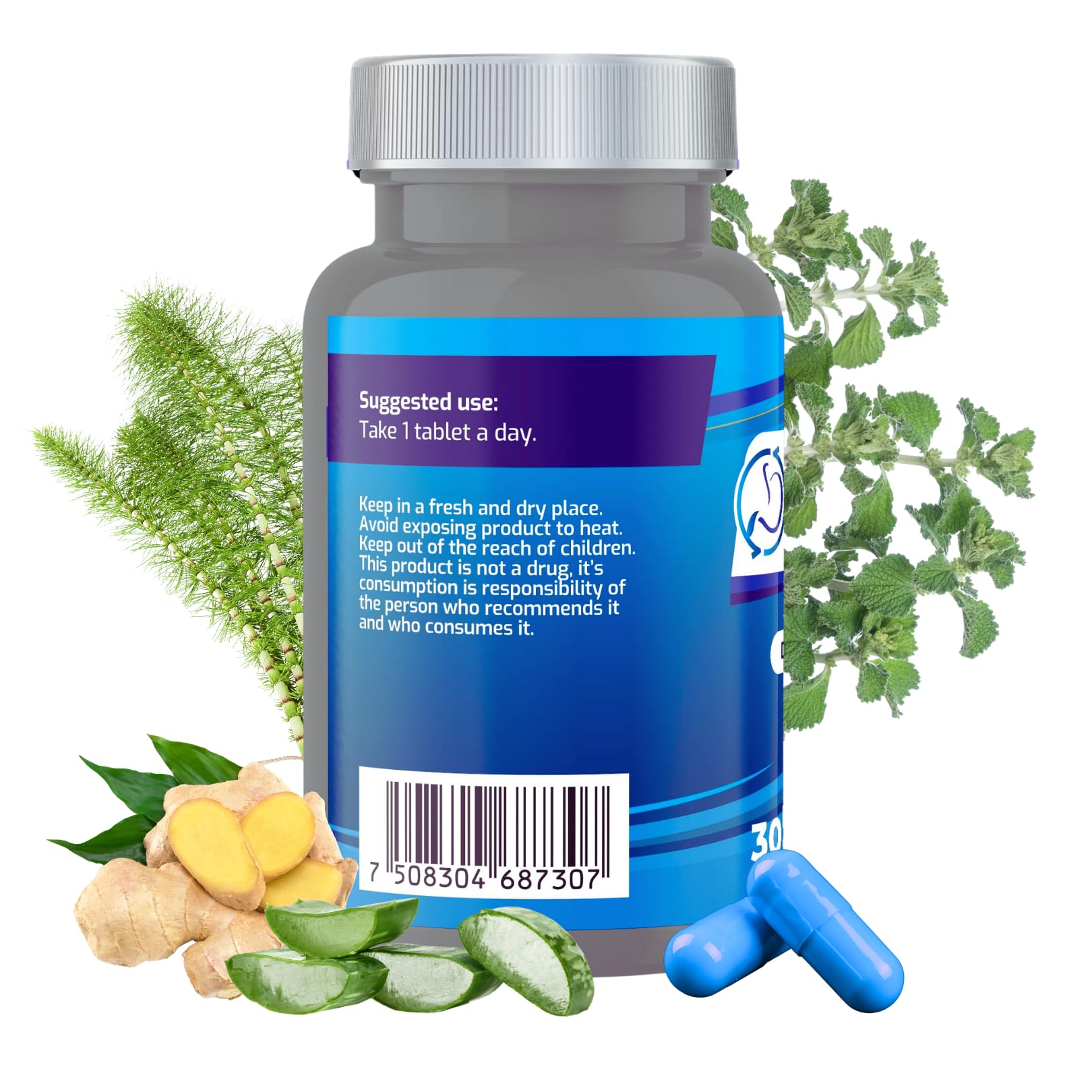 Ingredient collage for BYPASS BPRI BLUE: aloe vera, ginger, sarsaparilla, green tea