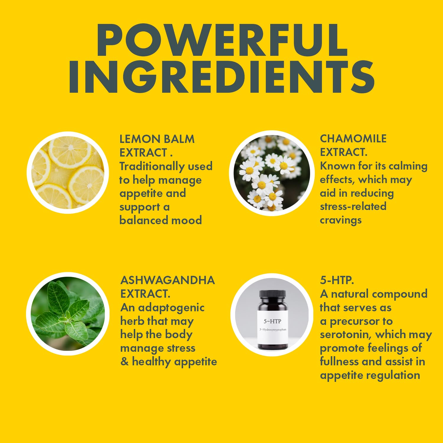 Yes You Can Appetite Support dosing image demonstrates simple daily capsule routine